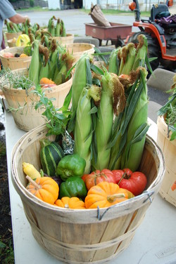 Produce Basket